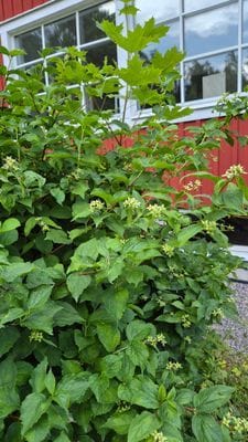 Året runt boende i vackra södermanland - Bild 48