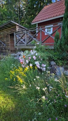Året runt boende i vackra södermanland - Bild 45