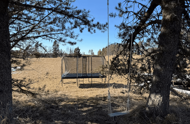 Mysig stuga i skogen på en gård - Bild 27