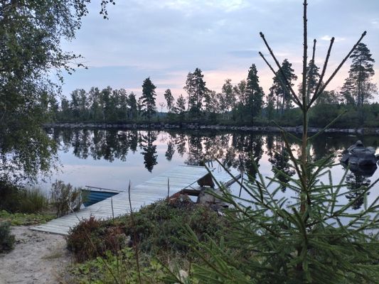 Friggebod vid sjö med bastu. Digital detox. - Bild 5