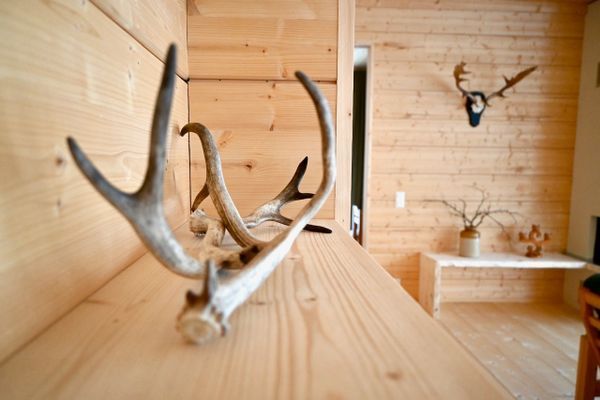 Arkitektritat fjällhus i Tänndalen - Bild 17