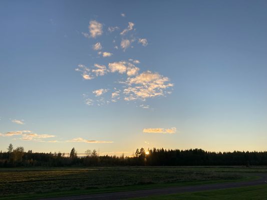 Mycket lugnt läge. Ofta vilda djur på flygfältet - kronhjort, tranor ...