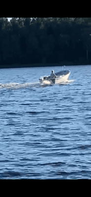 stuga vid sjö på landet - Bild 8