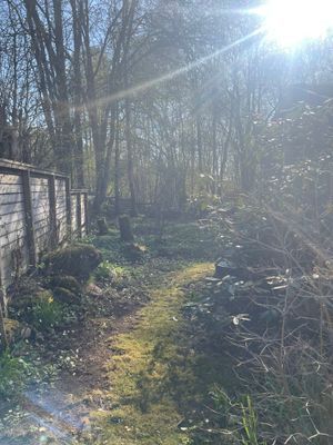 Enkel sommarstuga i åkulla bokskog - Bild 5
