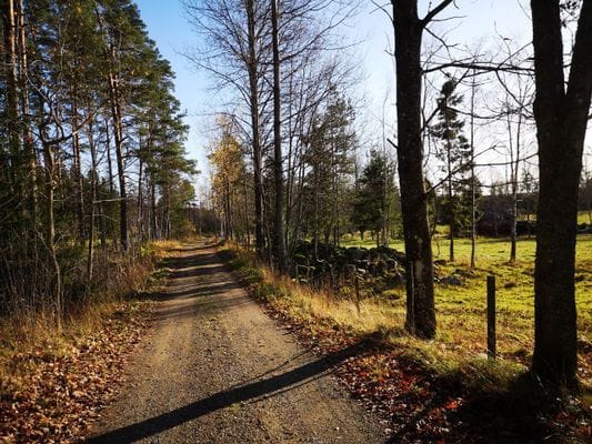 Rosendala semesterhus 3 sovrum, 7 bäddar. Bodafors - Bild 29