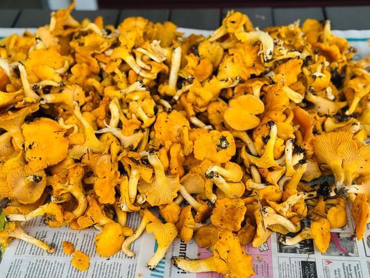 Naturskön stuga i avkopplande miljö - Bild 15