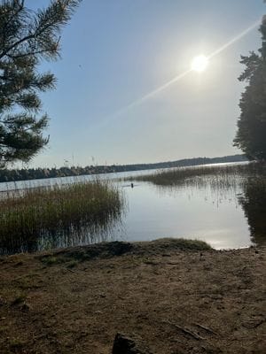 Idyllisk liten stuga vid Gamla Malmsjön - Bild 9