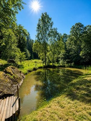 Stuga "Vena Berg" - Bild 35