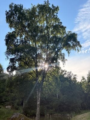 Stuga "Vena Berg" - Bild 44