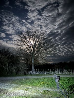 Snickeboa i Kräklingbo på Channel 1 gård - Bild 17