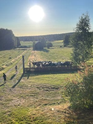Nyrenoverad stuga i orsa Hansjö - Bild 16