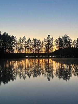 Enskilt fantastiskt läge vid egen sjö i Tiveden - Bild 36