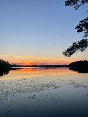 Enskilt fantastiskt läge vid egen sjö i Tiveden - Bild 37