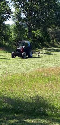 Naturskön och lantlig idyll mellan sjöar. - Bild 39