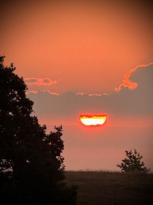 Villa 16 - rymlig lägenhet nära hav & natur - Bild 43