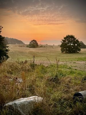 Med en promenad på 15 minuters når man denna vackra plats. ( marknadsfältet med utsikt över hela Hanöbukten, så långt ögat kan nå)