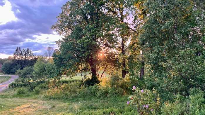 Mysig timmerstuga med kamin i södra Värmland - Bild 20