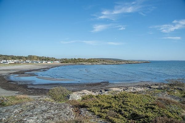 Stuga nära havet - Bild 19
