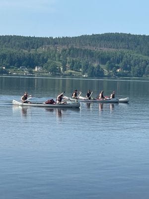 Stuga i Norra Dalsland - Bild 12