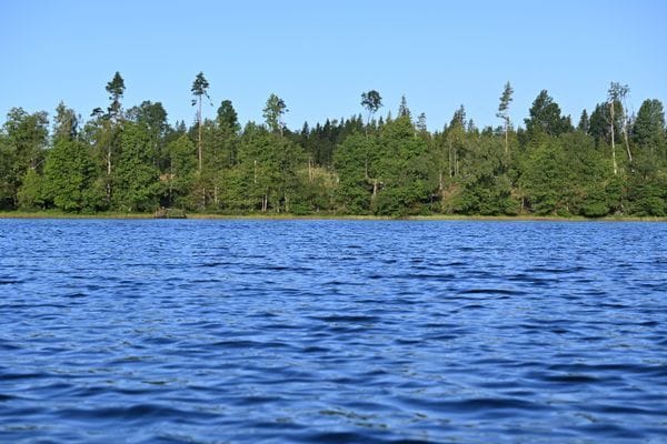 Mysigt sommarhus vid sjön i Småland - Bild 45