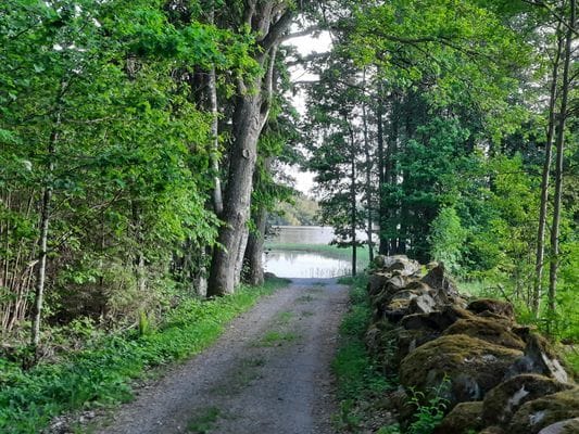 Naturskönt beläget sommarhus i Långasjö Socken - Bild 11