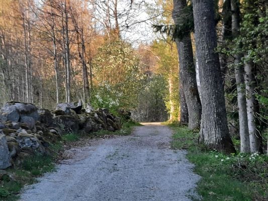 Naturskönt beläget sommarhus i Långasjö Socken - Bild 4