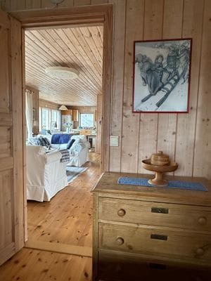 Typical Swedish cottage with stuga overlook a lake - Bild 21