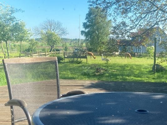 Lantligt boende - Bild 19