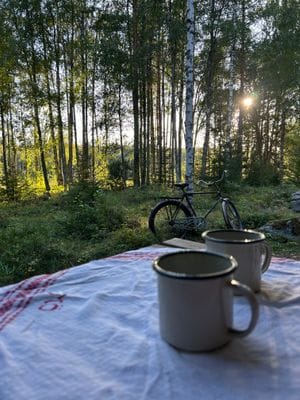 Nybyggd stuga med vedeldad bastu nära Hudiksvall - Bild 9