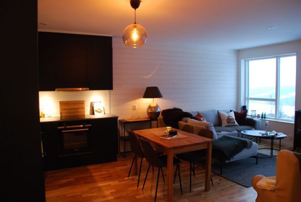 Herlig leilighet i Sadeln, 100% ski in/out! - Bild 24