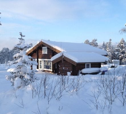 Mysig Timmesrstuga, 100 m til ski in/out