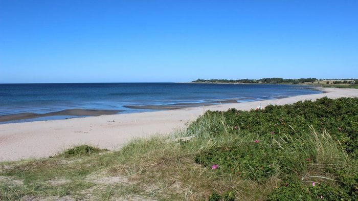 Trevlig stuga nära havet Ängelsbäcksstrand, Båstad - Bild 16