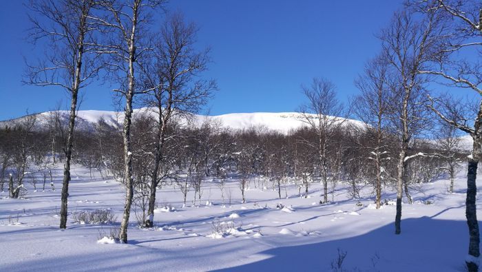 Härligt timmerhus i Tänndalen - Bild 10