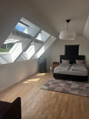 Modernt hus 2+3 bäddar - Bild 3