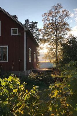 Torp i skogen med högt, tyst & soligt läge - Bild 24