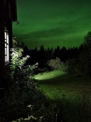 Torp i skogen med högt, tyst & soligt läge - Bild 3