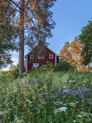 Torp i skogen med högt, tyst & soligt läge - Bild 19