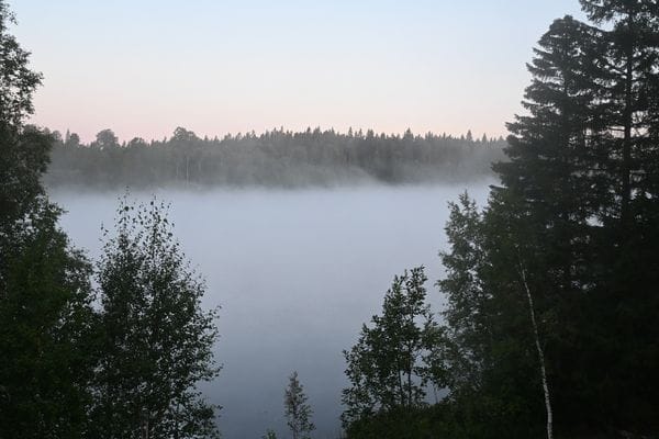 Mysigt sommarhus vid sjön i Småland - Bild 40