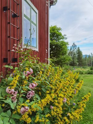 Torp i skogen med högt, tyst & soligt läge - Bild 27