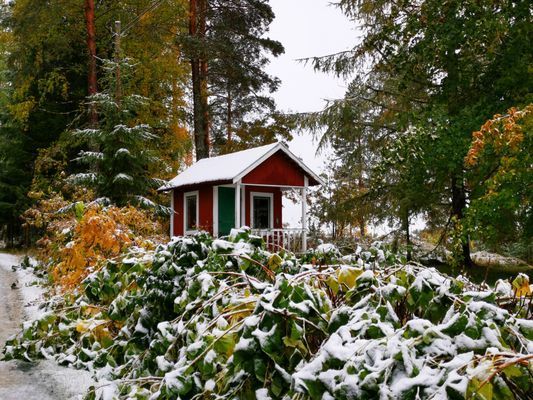 Torp i skogen med högt, tyst & soligt läge - Bild 54