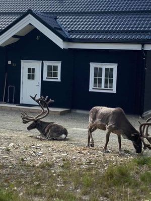 Hus på Klockarfjället, Vemdalsskalet - Bild 15