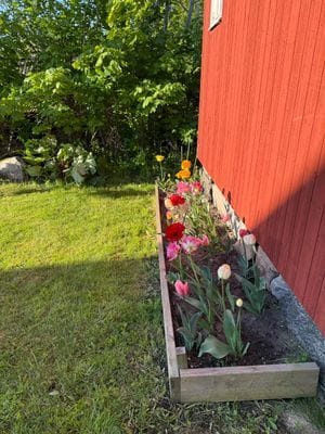 Attefallshus uthyres på Gräskö - Bild 29
