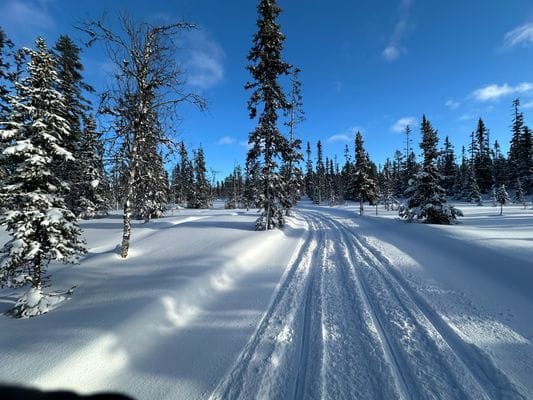 Hus på Klockarfjället, Vemdalsskalet - Bild 26