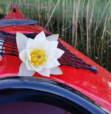 Sjön Möckeln - Bild 2