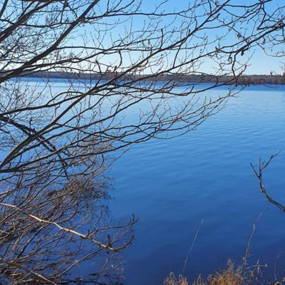 Sjön Möckeln - Bild 3