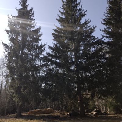 Sjön Möckeln - Bild 21