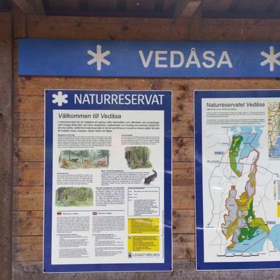 Sjön Möckeln - Bild 22