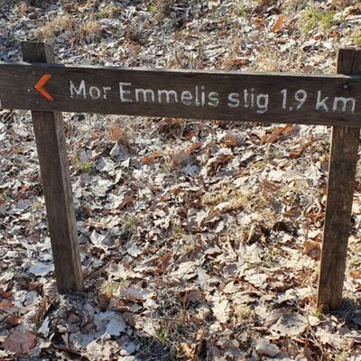 Sjön Möckeln - Bild 23