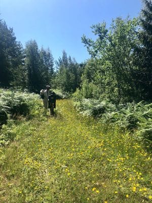 Familjevänligt hus i Fröjel, nära Ekstakusten. - Bild 18
