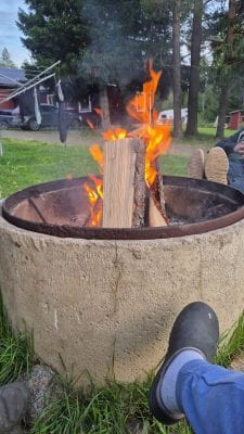 Skogsidyll i Jämtland - natur, lugn - Bild 17